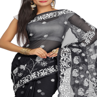Lucknow Chikan Saree